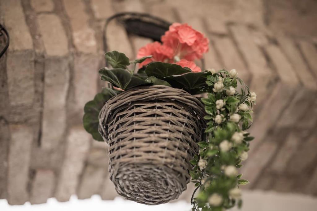 Shabby Apartment @Trastevere Roma Exterior foto
